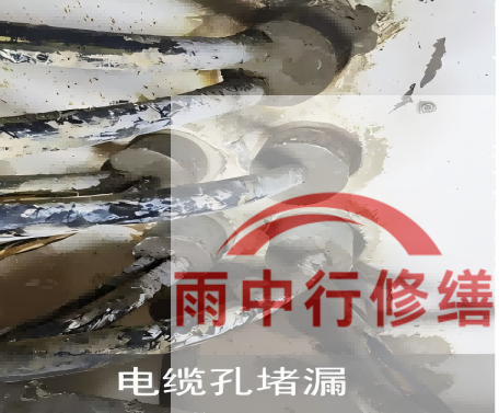 湖北电缆线空洞堵漏加固案例