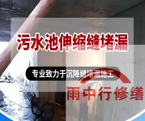 湖北某污水处理厂钢筋混凝土池堵漏案例